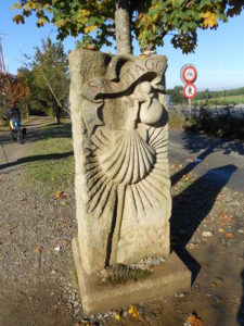 camino_santiago_occhio